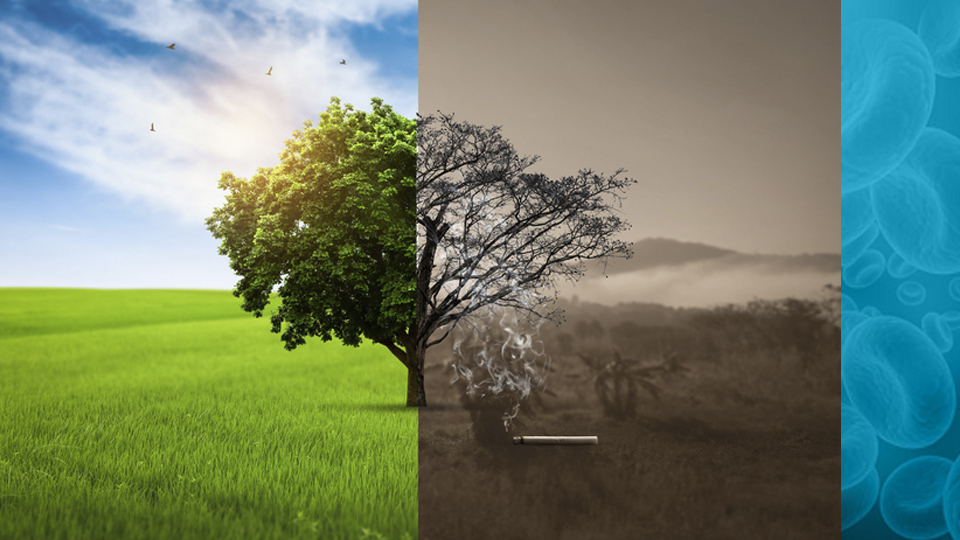 ¿Sabía que la contaminación ambiental afecta su corazón?